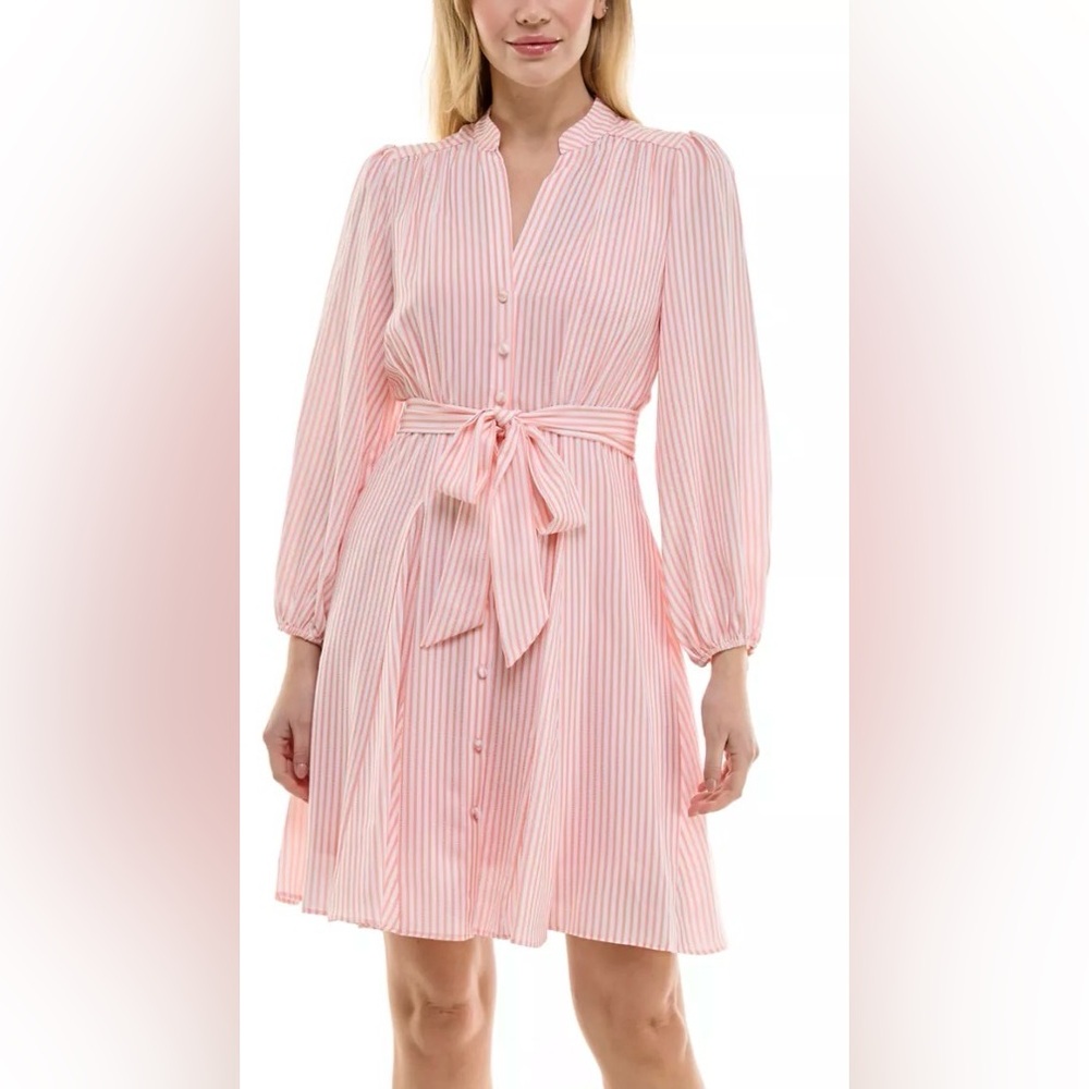 Taylor Women's Long Sleeve V-Neck Striped Tie Waist Fit and Flare Dress